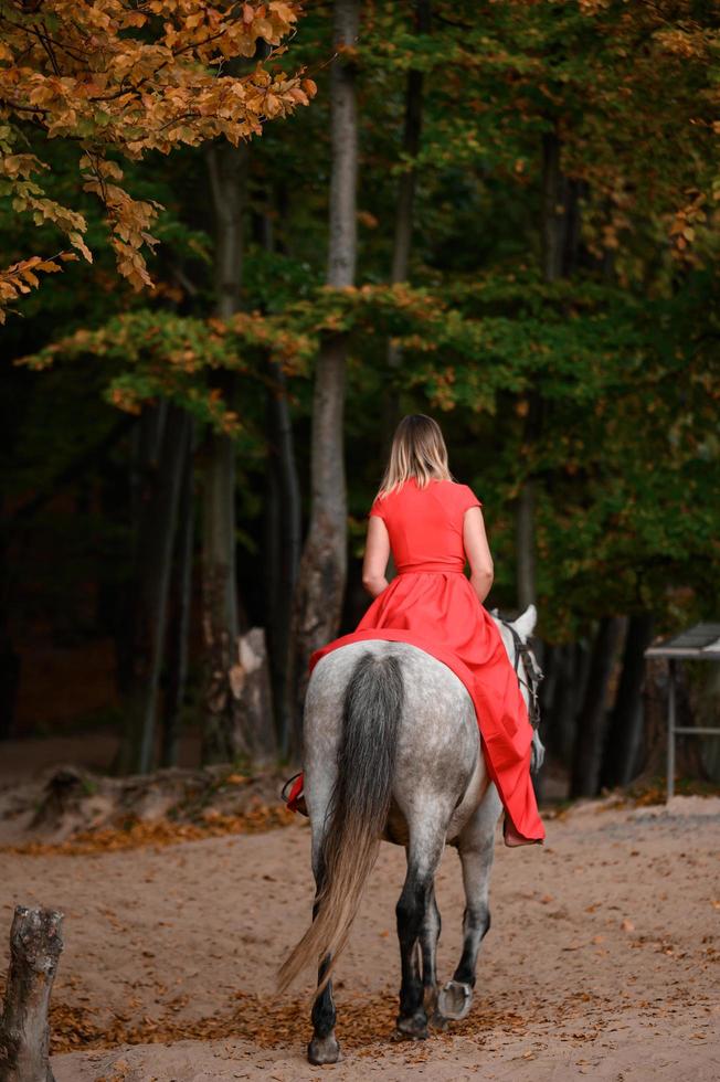 ridning en häst, gående i ett höst skog, en kvinna ridning en häst i en lång röd klänning med bar fötter. foto