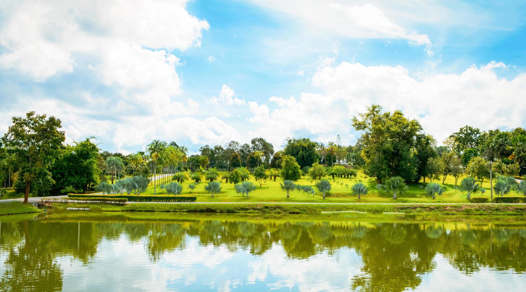 grön damm i de parkera sommar landskap sjö med handflatan träd trädgård och blå himmel bakgrund foto