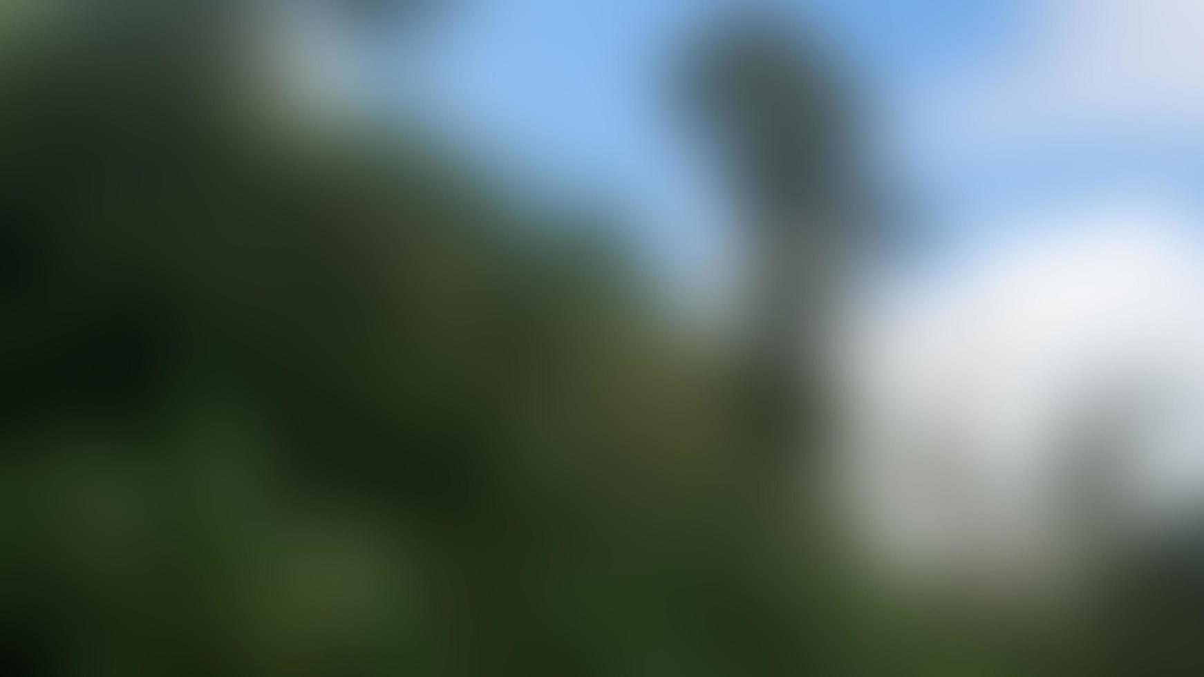 defocused skön och Fantastisk suddig natur bakgrund foto