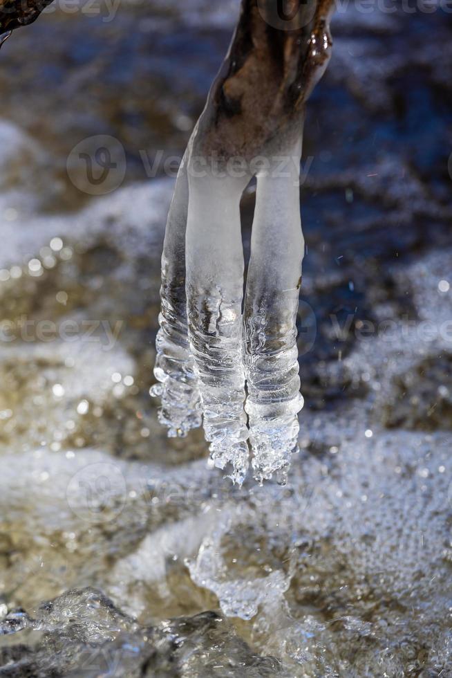 istappar i en små skog flod foto