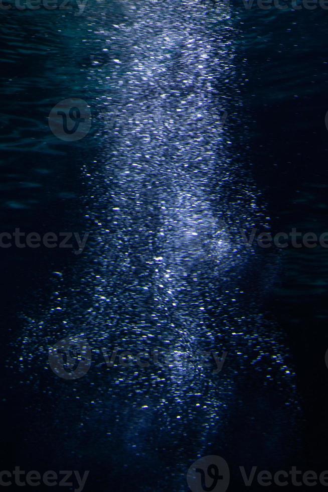 annorlunda tropisk fisk under vatten foto