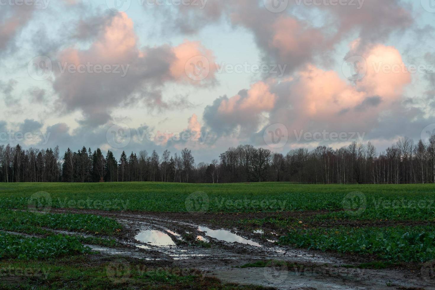 naturlig höst landskap i lettland foto