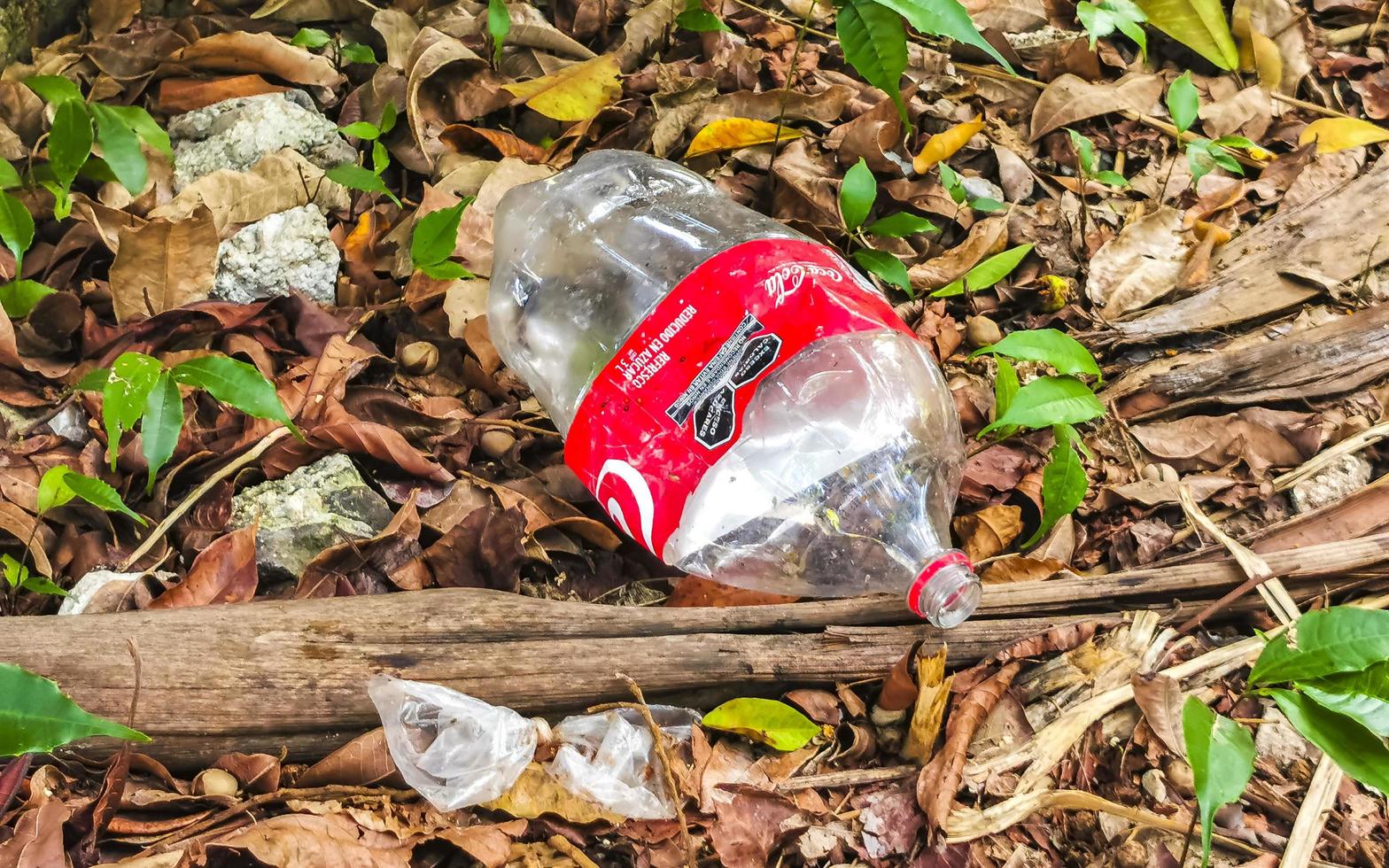 playa del carmen quintana roo mexico 2022 sopor avfall skräp och förorening i natur i Mexiko. foto