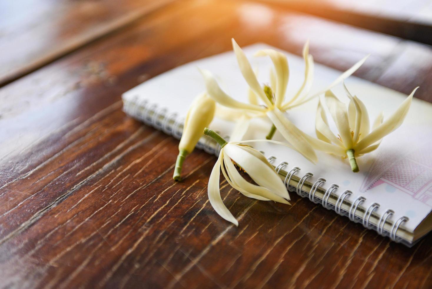 vit champaka blomma eller Michelia vit sandelträ och anteckningsbok papper på rustik trä- jade orkide blommor foto