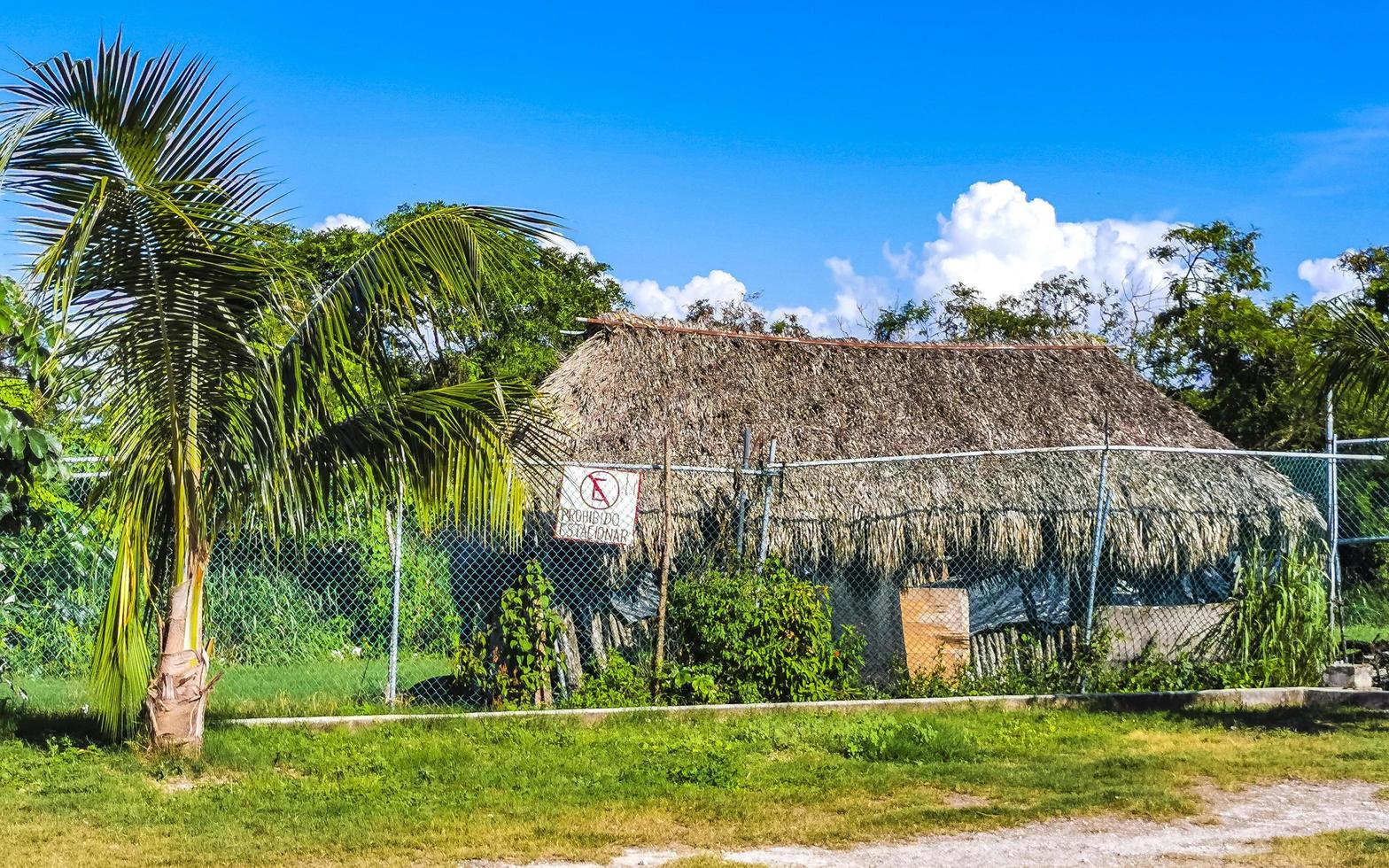 entréväg till tropisk strand mellan naturliga hyddor i mexico. foto