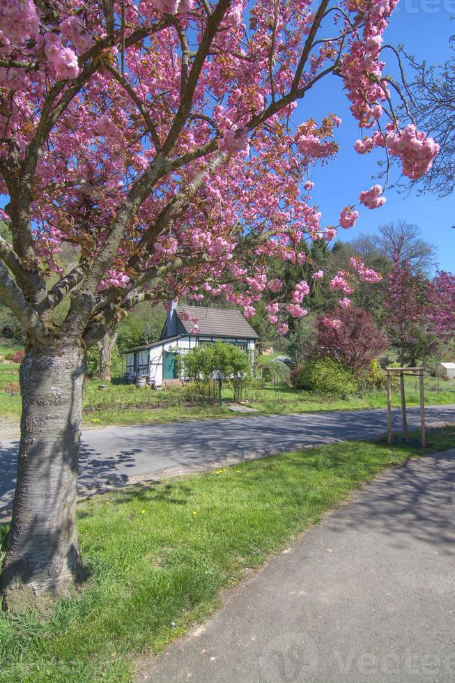 springtime i bergisches land, norr Rhen Westfalen, Tyskland foto