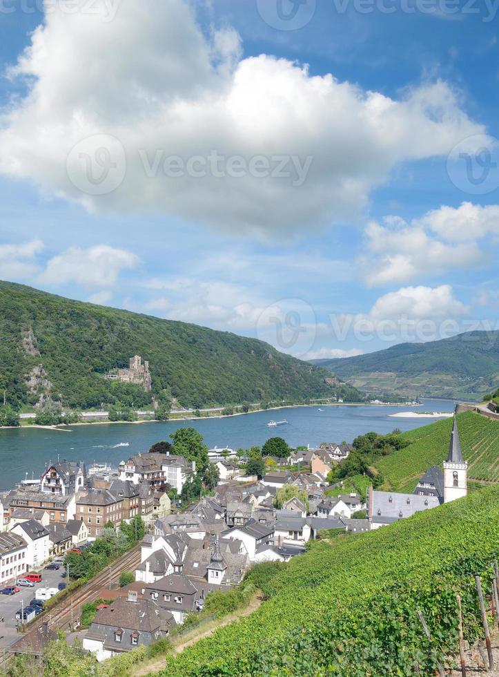 känd populär vin by av assmannshausen,rheingau,rhen floden, Tyskland foto