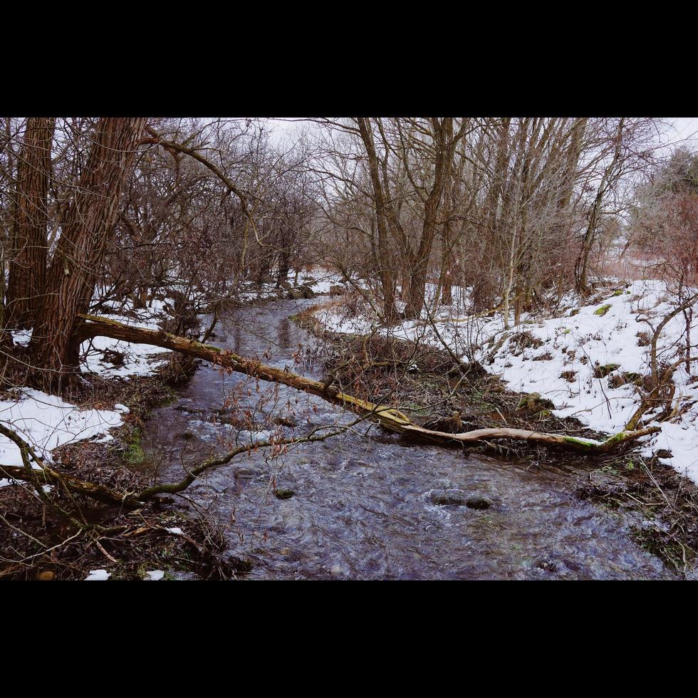 snöig flod kant foto