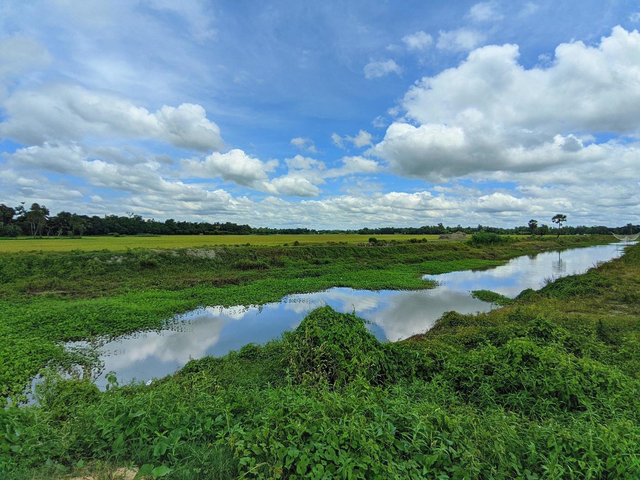 sjö sida se av en lantlig område av bangladesh. grön gräs, moln med blå himmel bakgrund. foto