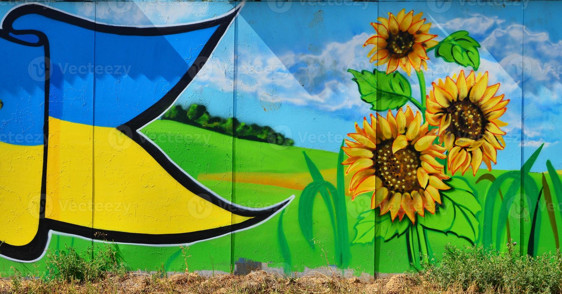 de gammal vägg, målad i Färg graffiti teckning med aerosol färger. ett bild av en traditionell ukrainska landskap med solrosor, kalina och en kvarn i en fält foto