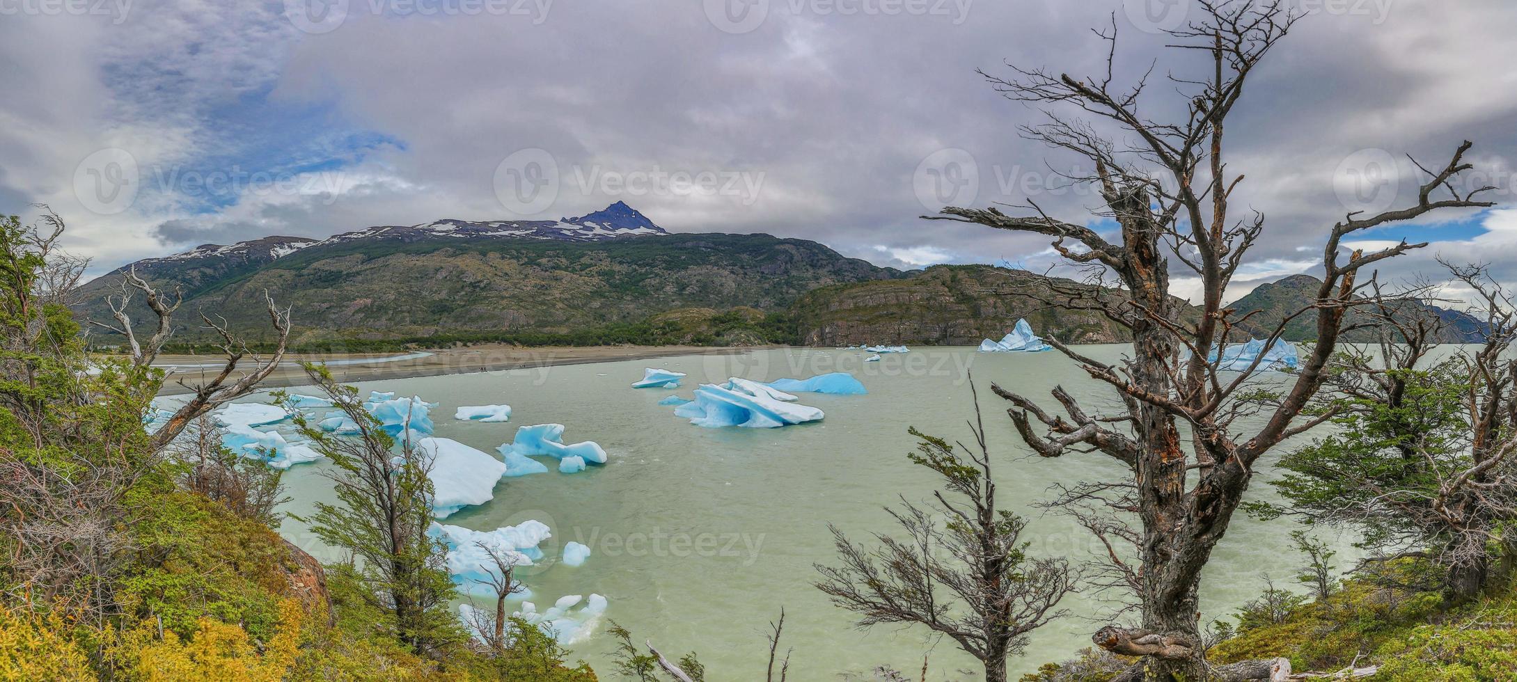 panorama- bild av lago grå i patagonien med flytande isberg foto