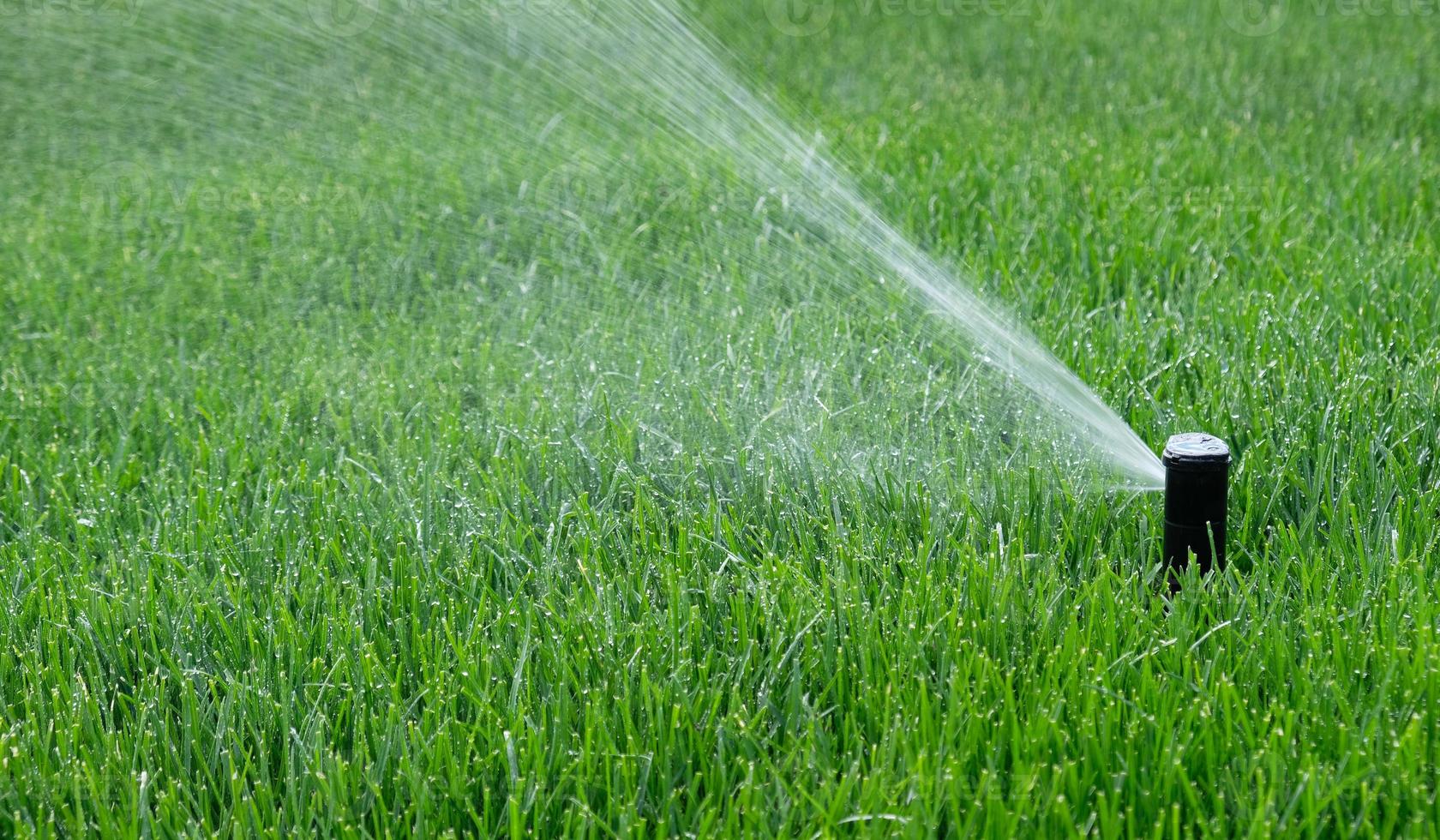 automatisk trädgård bevattning systemet vattning gräsmatta. besparingar av vatten från sprinkler bevattning systemet med justerbar huvud. automatisk Utrustning för bevattning och underhåll av gräsmattor, trädgårdsarbete. foto