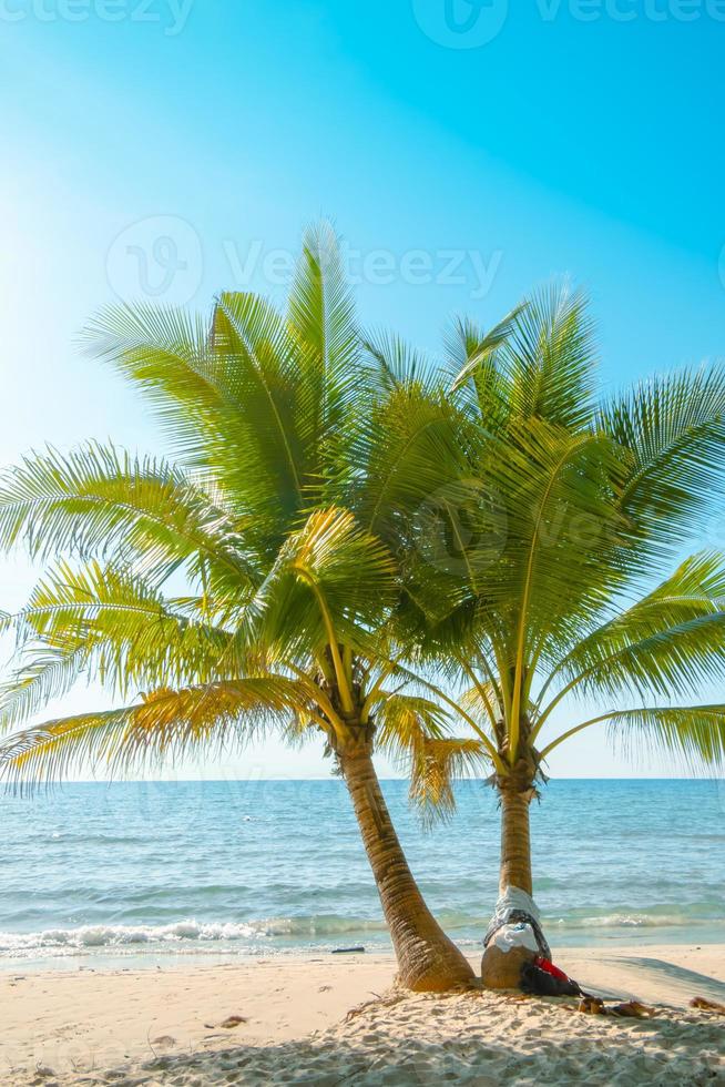 handflatan träd på de tropisk strand, med en skön hav se på blå himmel natur bakgrund foto