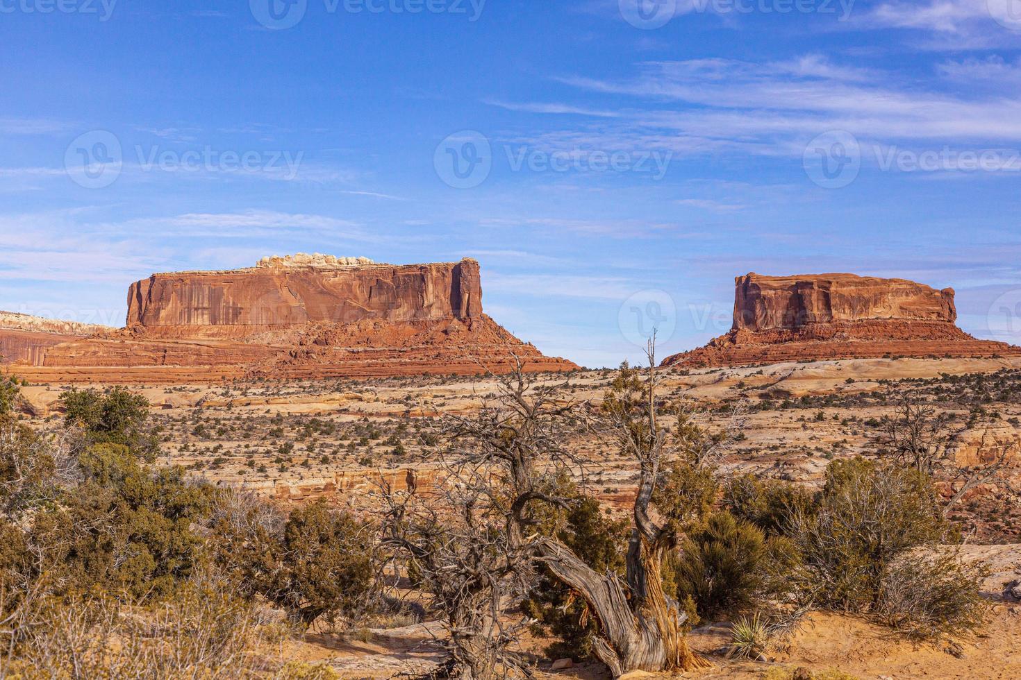 se på typisk sten formationer i conyonlands nationell parkera i utah i vinter- foto