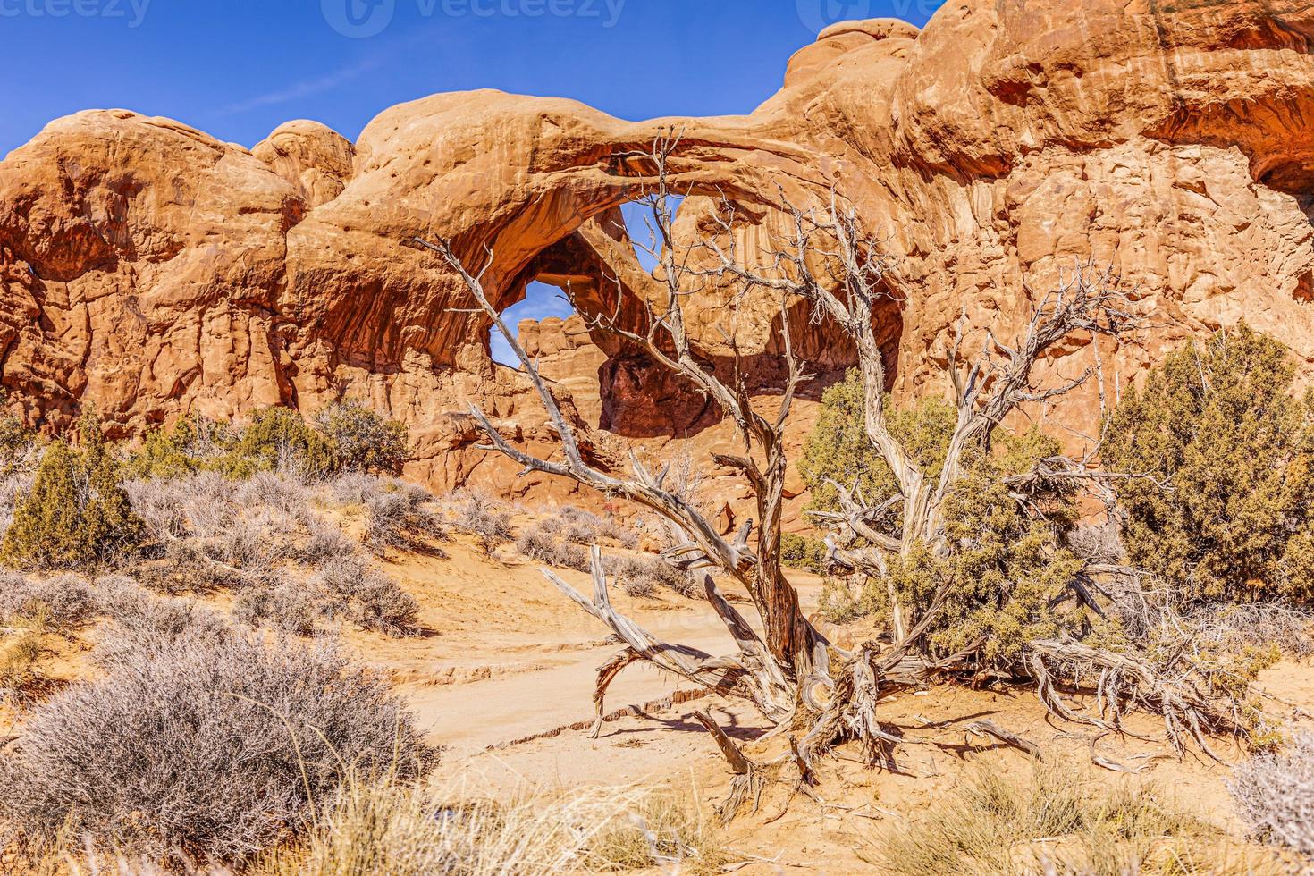 panorama- bild av naturlig och geologisk undrar av valv nationell parkera i utah i vinter- foto