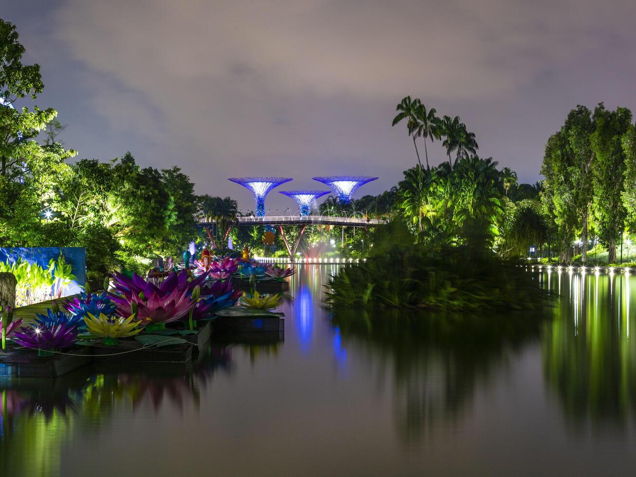 bild av trädgårdar förbi de bukt parkera i singapore under nattetid i september foto