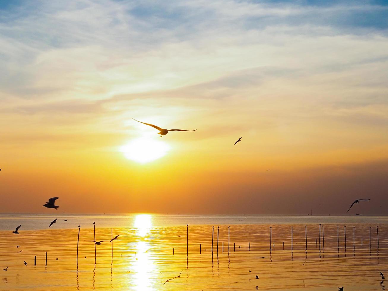 flock av fåglar flugor ovan de hav yta. fågel flygande tillbaka till bo i naturlig hav och gyllene himmel bakgrund under skön solnedgång. foto