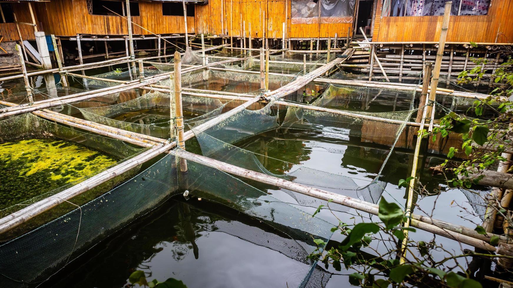traditionell fisk bruka i tondano sjö tillverkad av bambu foto