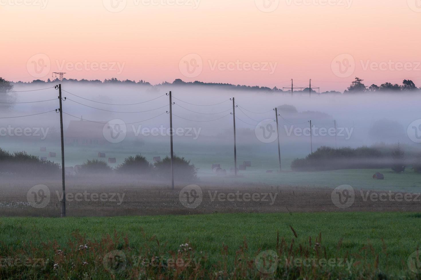 lettiska sommar landskap foto