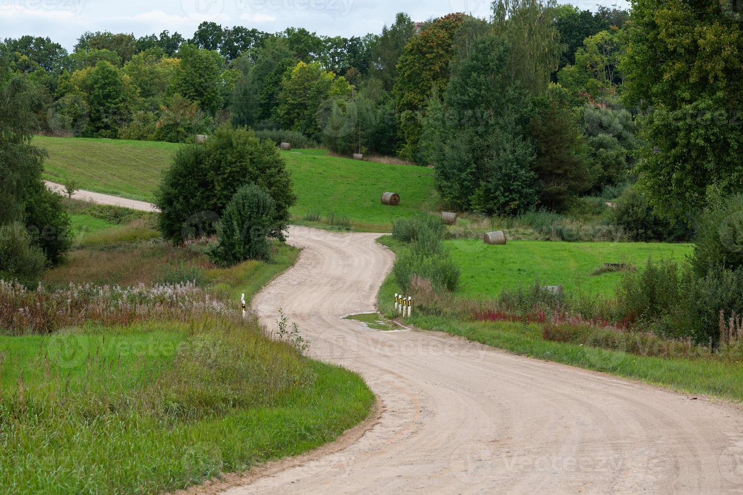 sommar landskap i lettland foto