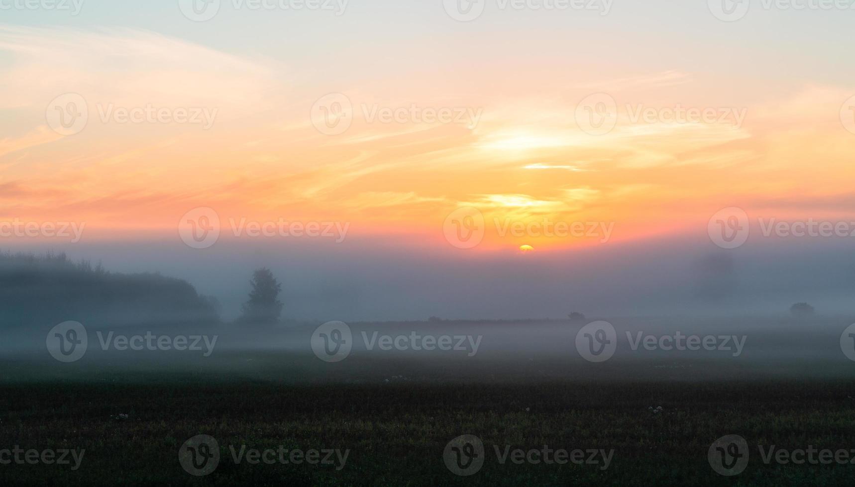 lettiska sommar landskap foto