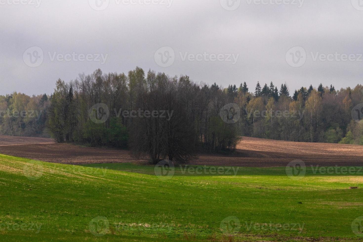 lettiska springtime landskap foto