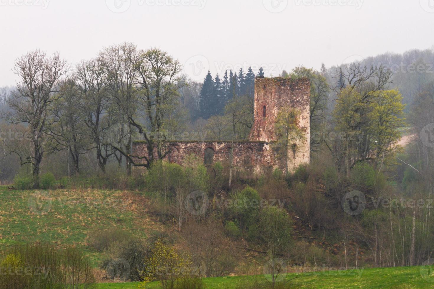 lettiska springtime landskap foto