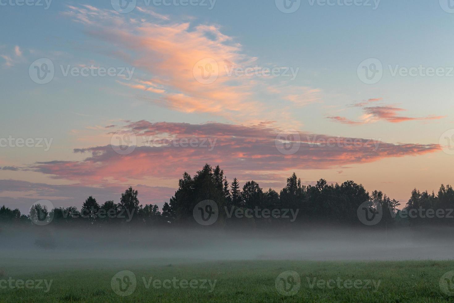 landskap av lettland i sommar foto