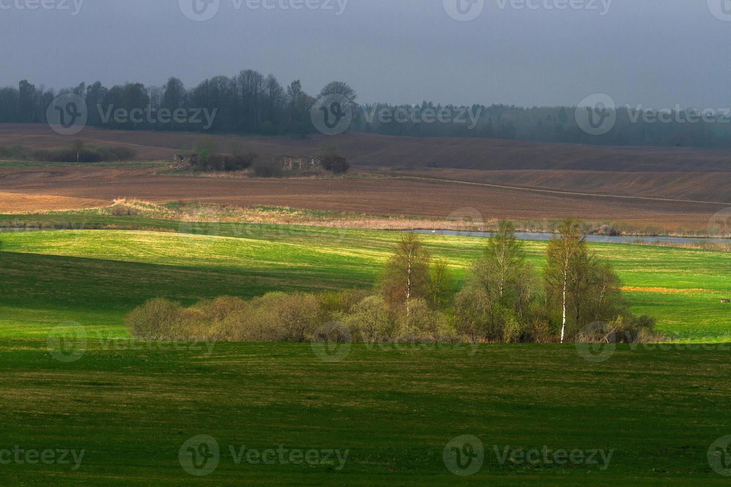 lettiska springtime landskap foto