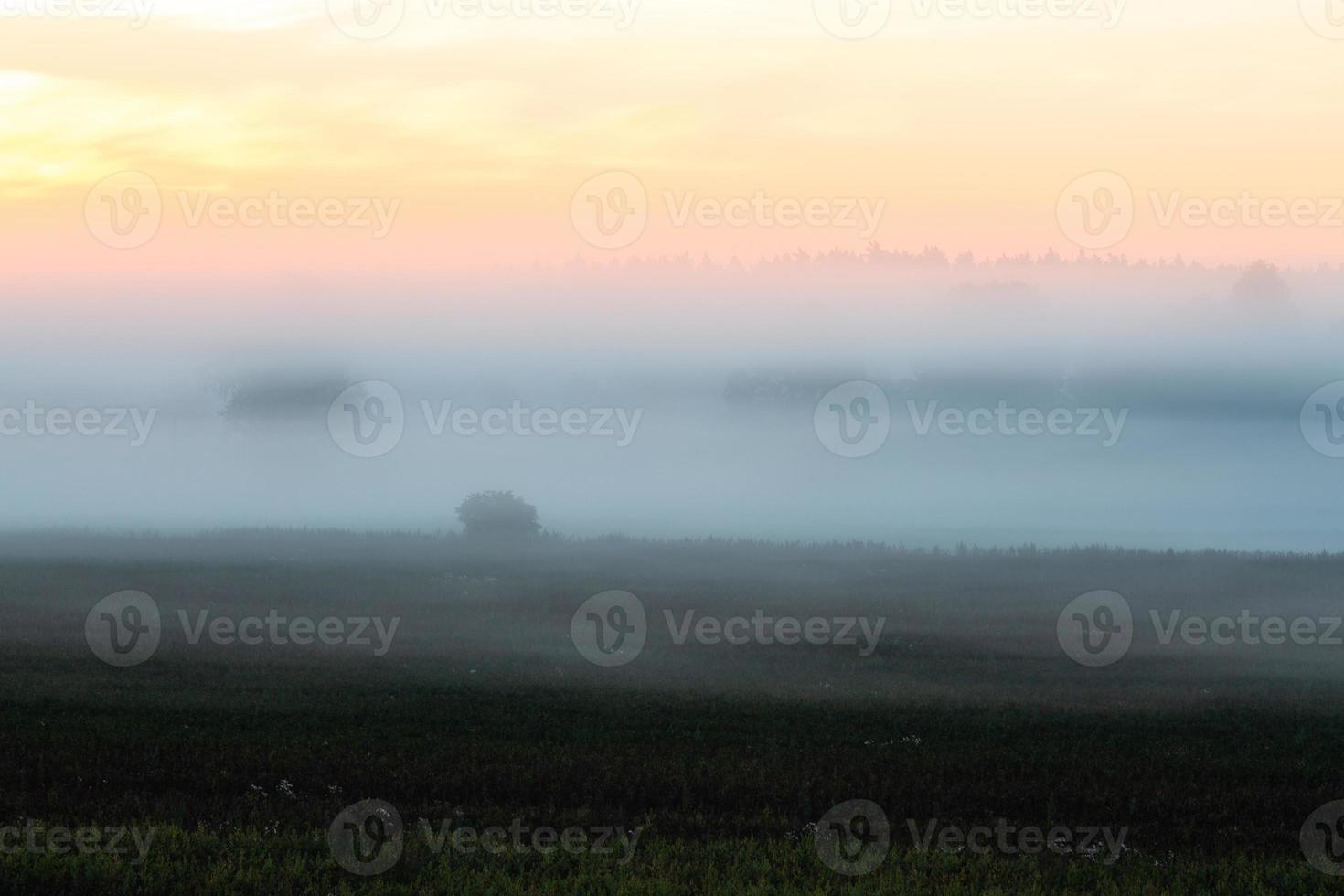 lettiska sommar landskap foto