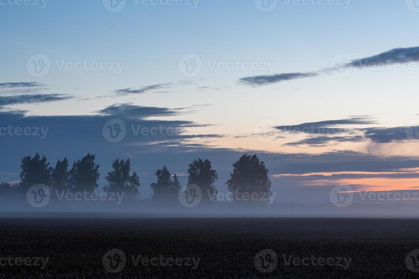 sjö landskap av lettland i sommar foto