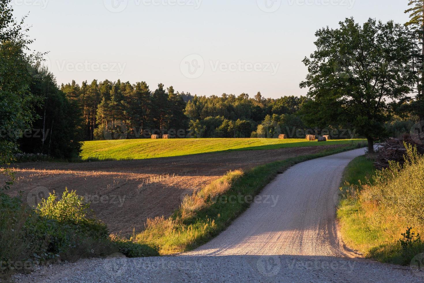 lettiska sommar landskap foto