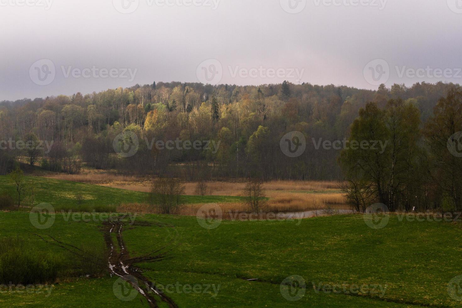 lettiska springtime landskap foto