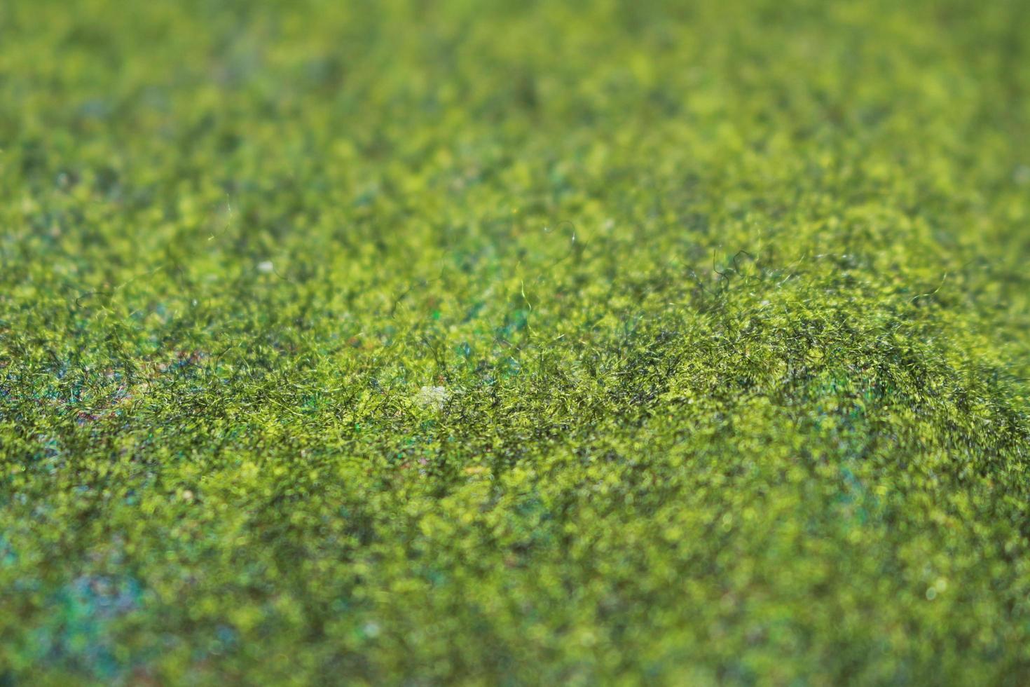 färsk grön äng bakgrund fläck. fotboll fält gräs, golf kurs, matta textur foto