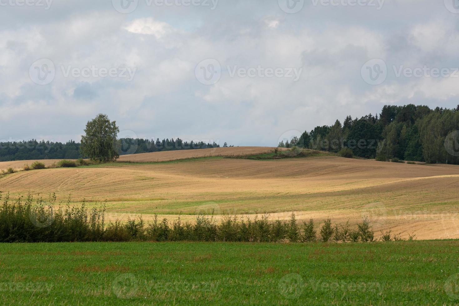 lettiska sommar landskap med moln foto