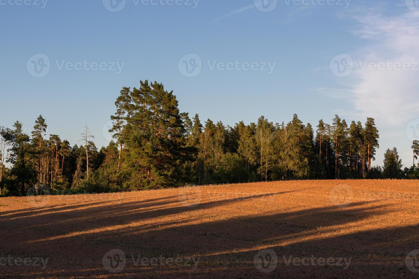 lettiska sommar landskap foto