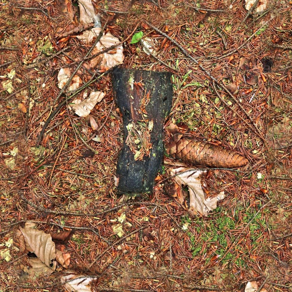 hög upplösning sömlös textur av en skog jord med höst löv och nötter foto
