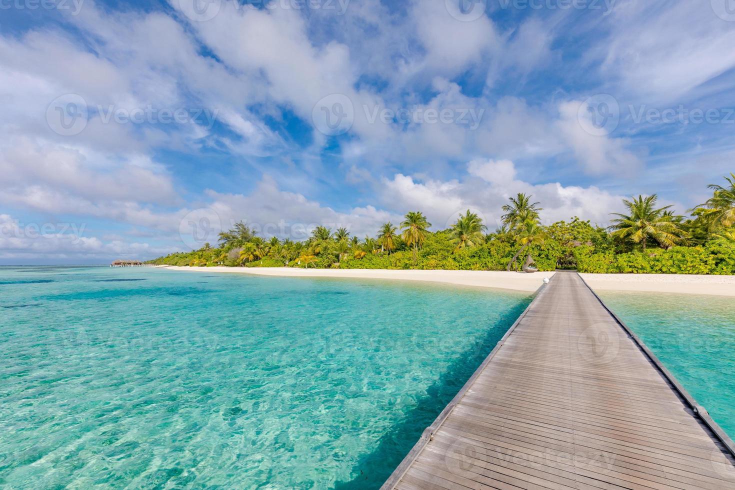 skön tropisk maldiverna ö med strand, exotisk hav och kokos handflatan träd på blå himmel för lyx natur Semester semester bakgrund begrepp. lyft upp Färg bearbetning. sommar resa destination foto