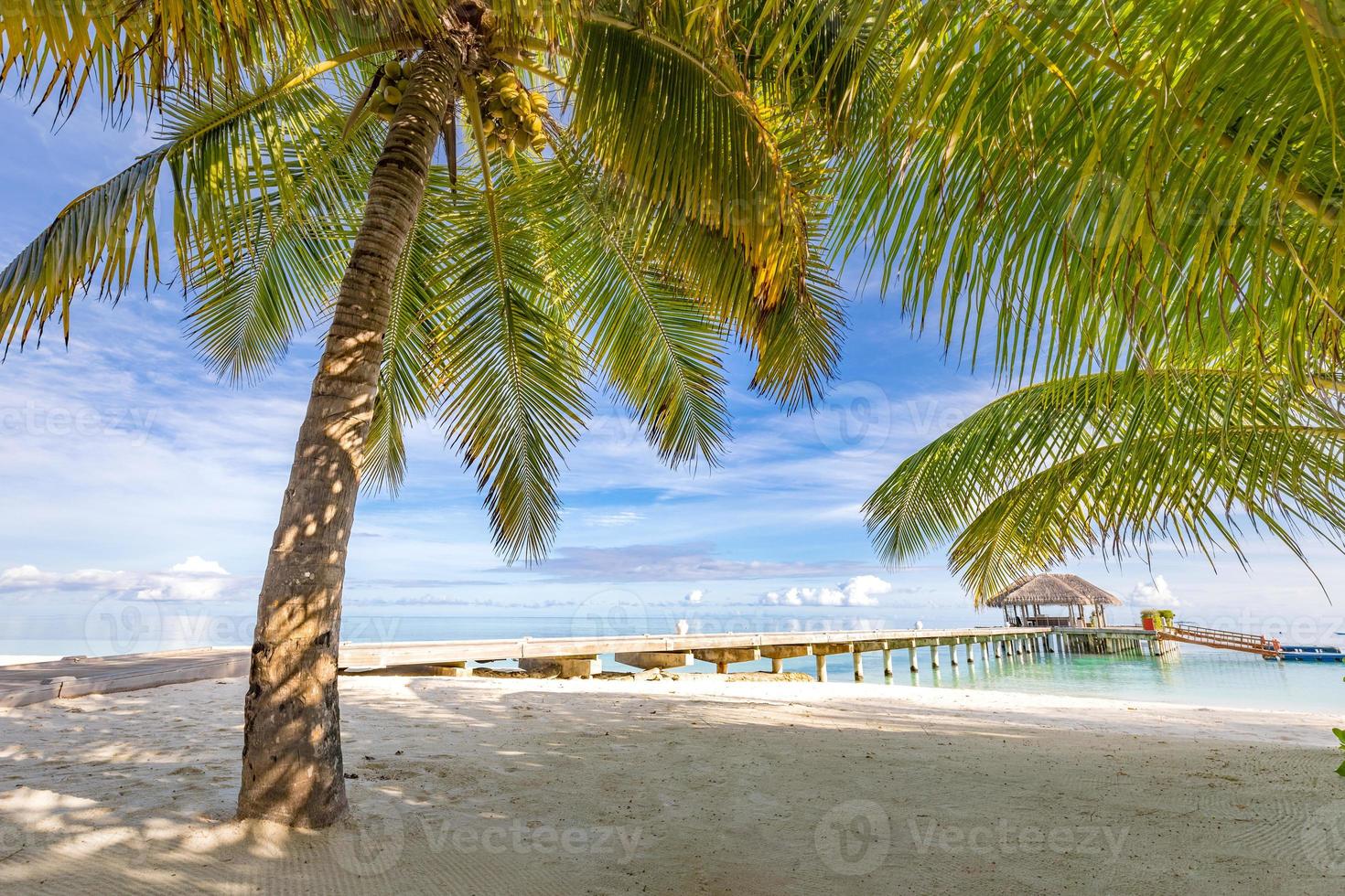 tropisk strand, maldiverna. brygga väg in i lugn paradis ö. handflatan träd, vit sand och blå hav, perfekt sommar semester landskap eller Semester baner. skön turism destination, maldiverna foto