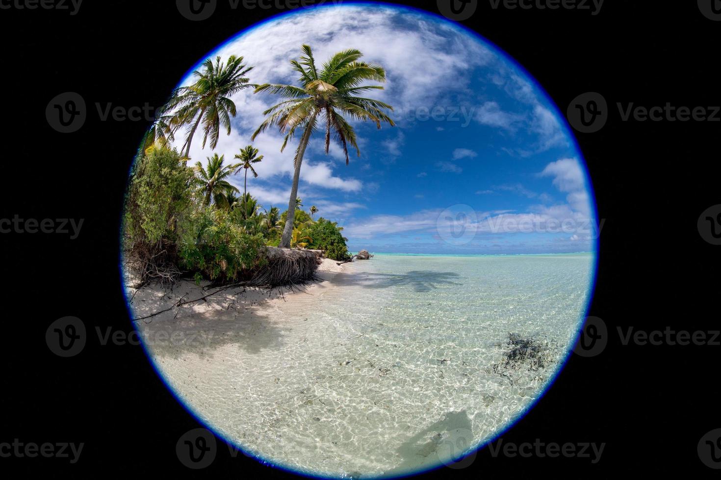 kokos träd på polynesisk tropisk paradis strand foto