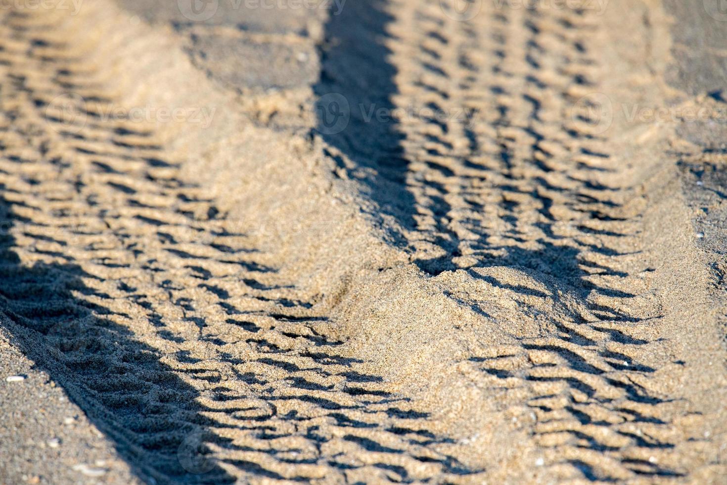 av vägen bil däck Spår detalj på sand strand foto