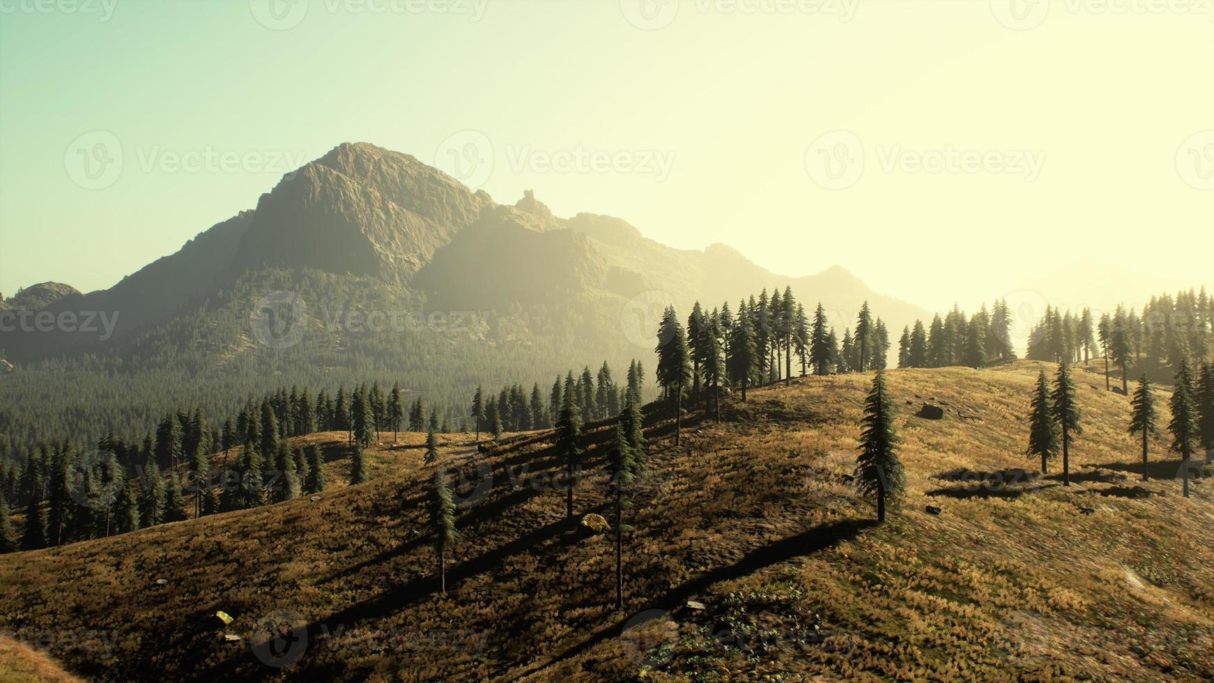 skön berg se med tall skog foto