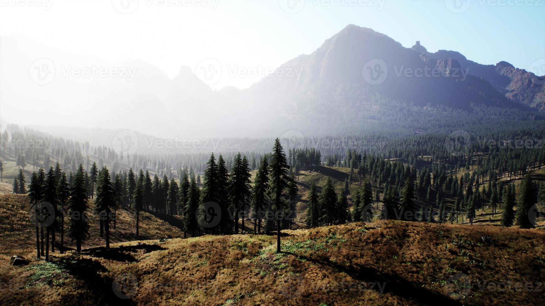 skön berg se med tall skog foto