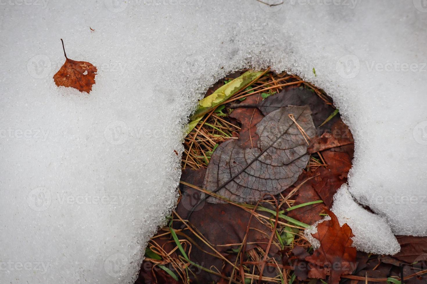 brun löv mellan upptining snö med textur på uppvärmningen jord foto