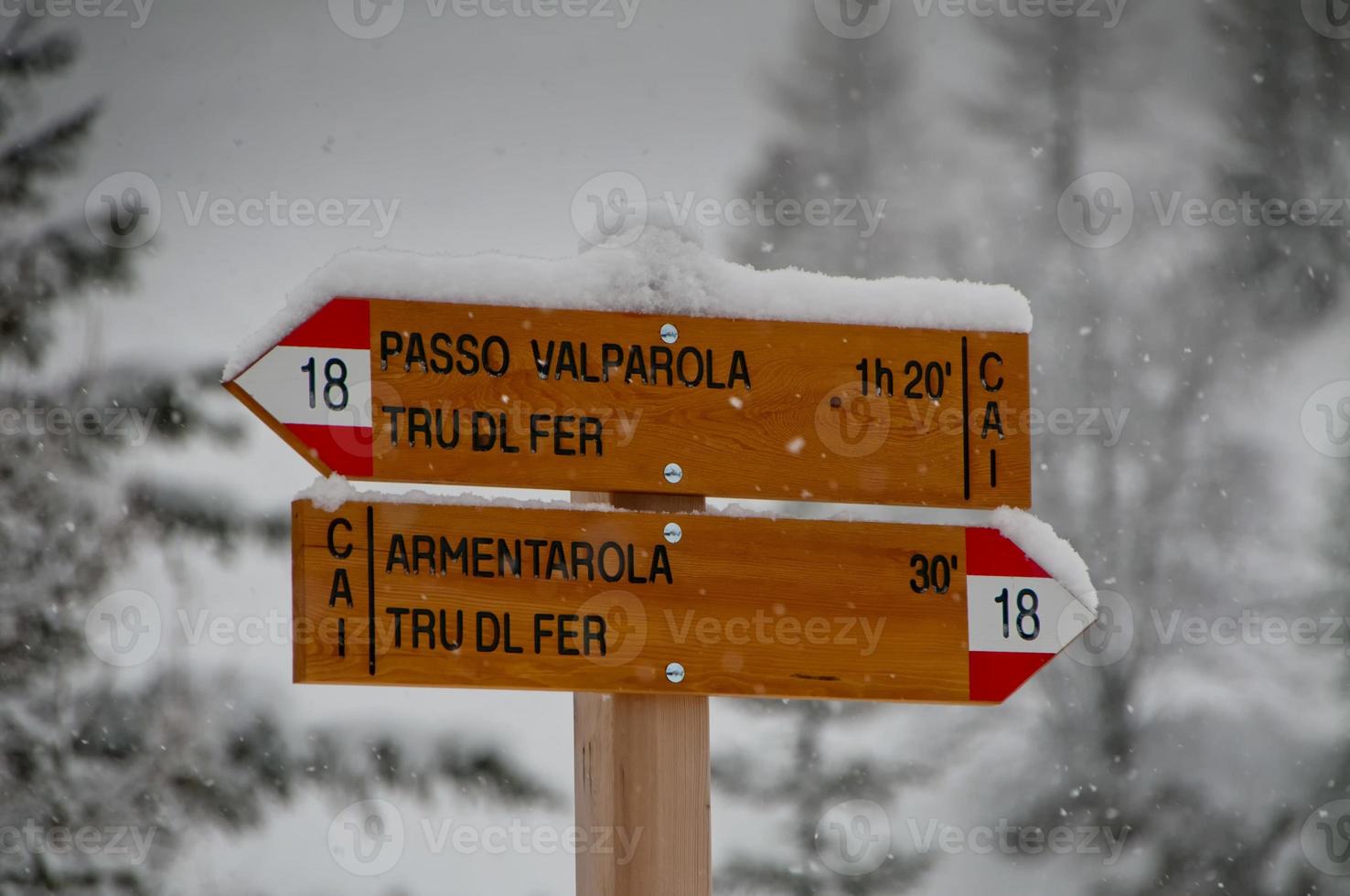 snö flingor faller ner på spår tecken i vinter- tid foto