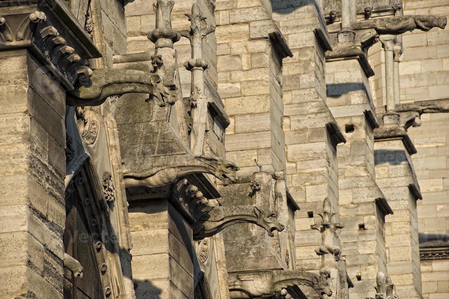 notre dame paris statyer och gargoyles foto