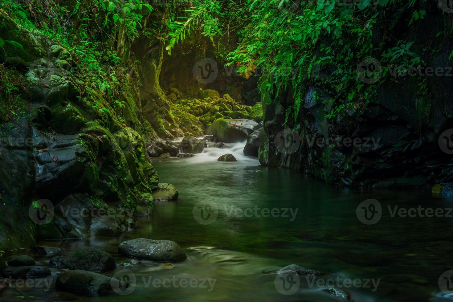 indonesiska landskap i de morgon- med en vattenfall inuti en skön tropisk skog foto