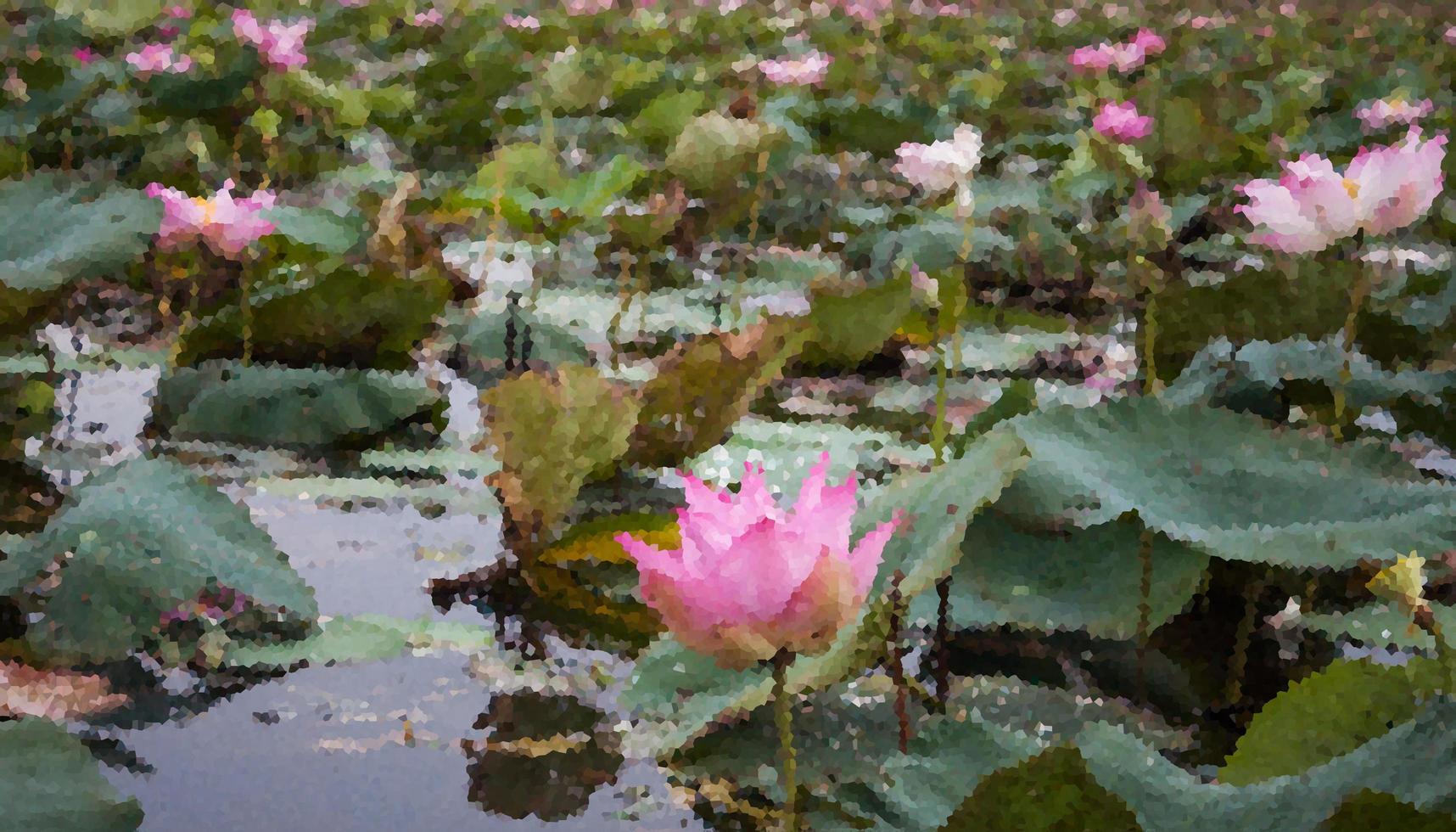 liljedamm med rosa lotusblommor foto