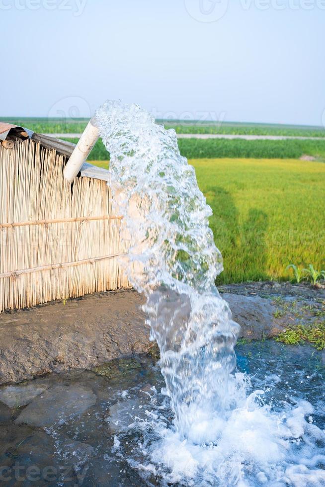 bevattning av ris fält använder sig av pump brunnar med de Metod av pumpning vatten från de jord till strömma in i de ris fält. de pumpning station är var vatten är pumpade från ett bevattning kanal. foto