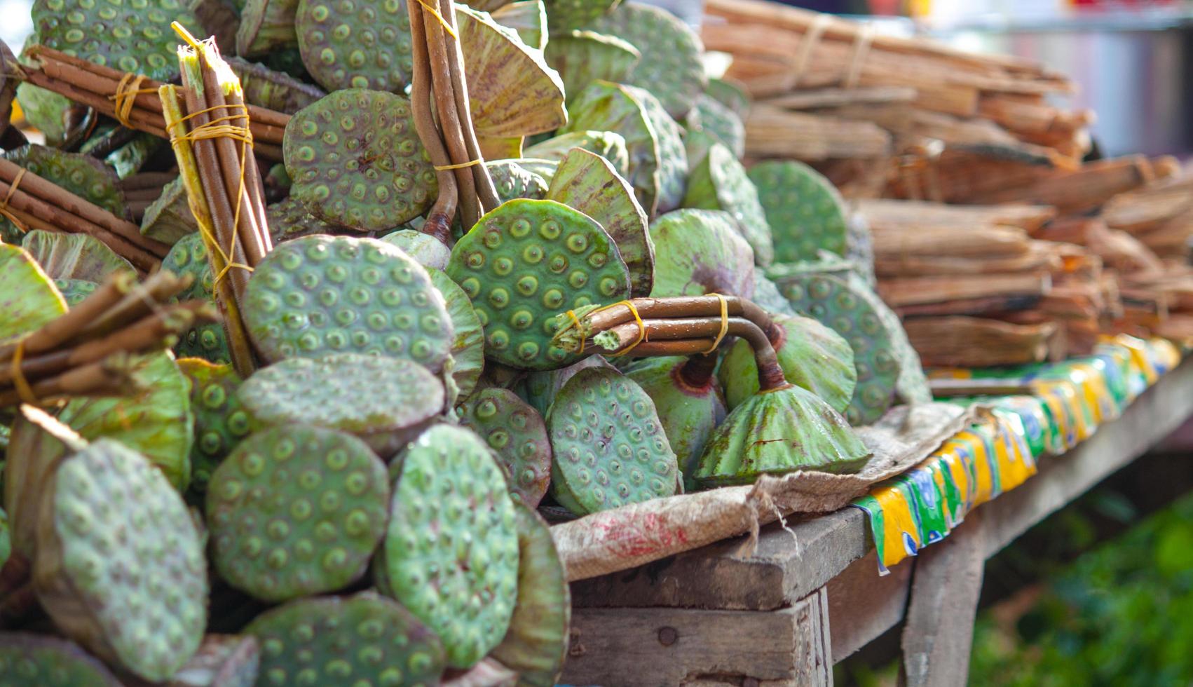 kaktusar på en marknad foto